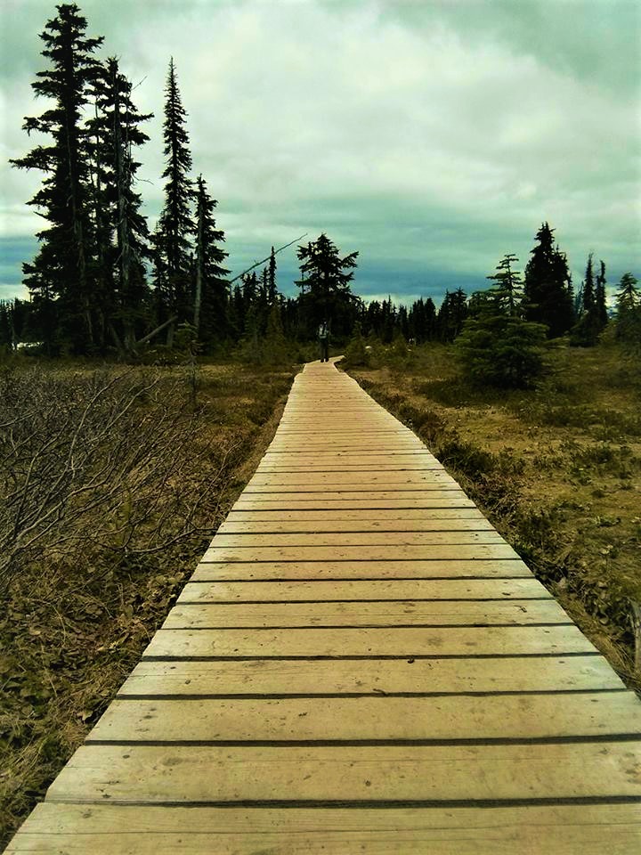 Boardwalk at Garibaldi Provincial Park